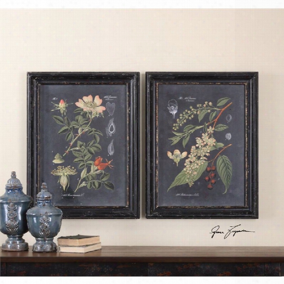 Uttermost Mixnight Botanicals 2 Piece Wall Art Set