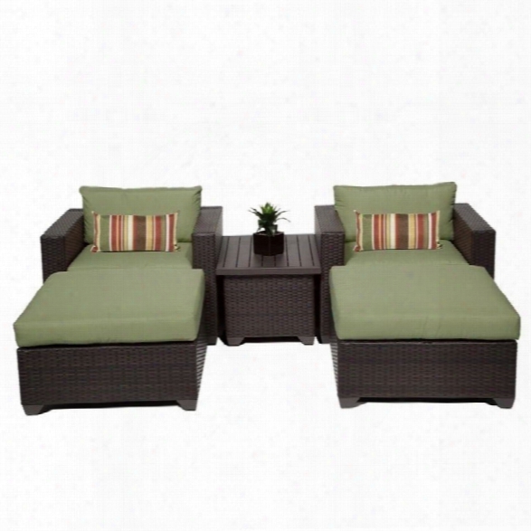 Tkc Belle 5 Piece Outdoor Wicker Sofa Set In Cilantro