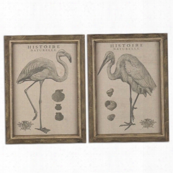 Uttermost Natural History Framed Art In Taupe (set Of 2)