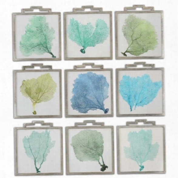 Uttermost Sea Fans Framed Art (set Of 9)