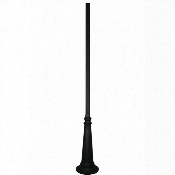 Z-lite Outdoor Post In Black