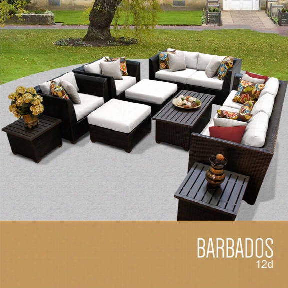 Tkc Barbados 12 Piece Patio Wicker Sofa Set In White