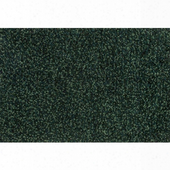 Loloi Olin 9'3 X 13' Hand Woven Rug In Emerald