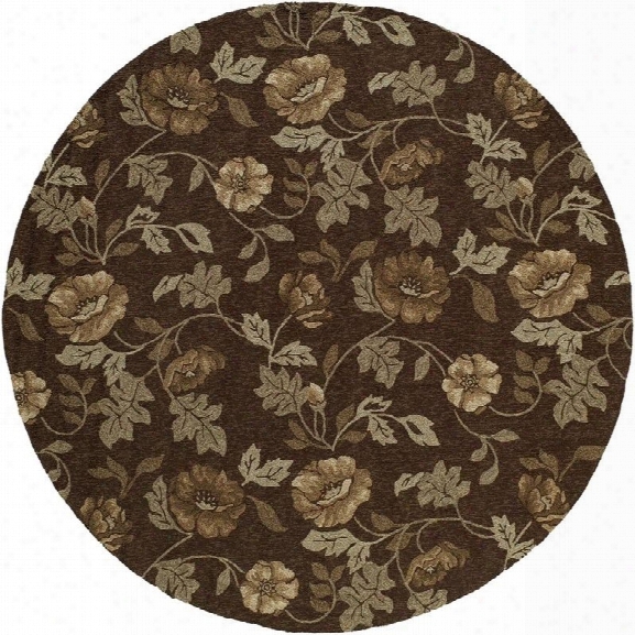 Momeni Veranda 9' X 9' Round Rug In Brown