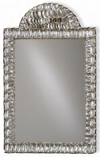 Abalone Wall Mirror Design By Currey & Company