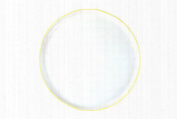 Abbesses Large Plate Yellow Rim Design By Canvas