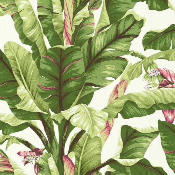 Banana Leaf Wallpaper In Green And Pink Design By York Wallcoverings