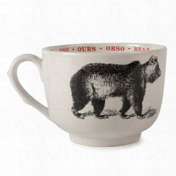 Bear Fauna Cups Design By Sir/madam