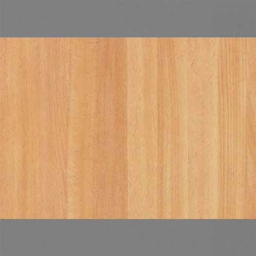 Beech Planked Medium Self-adhesive Wood Grain Contact Wallpaper By Burke Decor