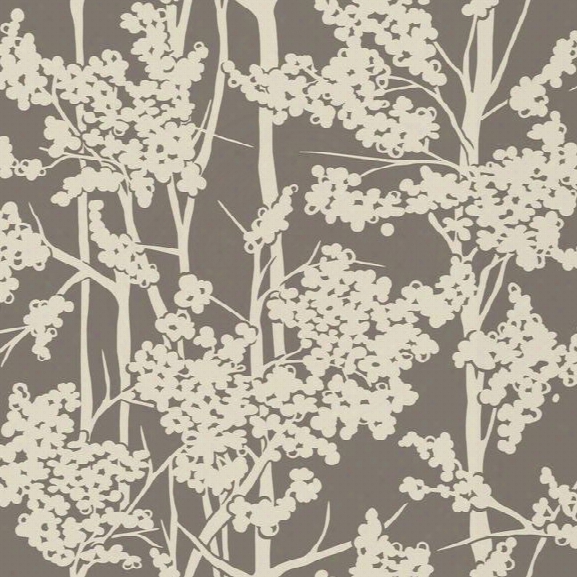 Sample Haven Wallpaper In Brown And Cream Design By Candice Olson For York Wallcoverings