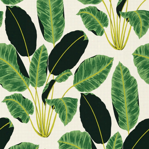 Sample Hojas Cubanas Self Adhesive Wallpaper In Rich Emerald By Genevieve Gorder For Tempaper