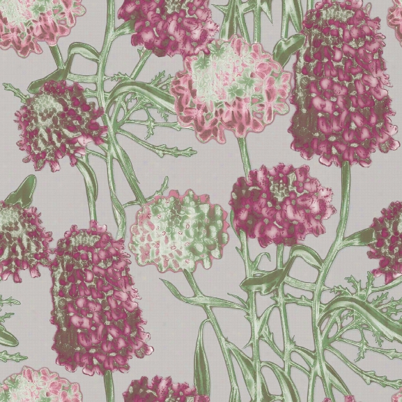 Sample Hydrangea Self Adhesive Wallpaper In Blush Design By Tempaper
