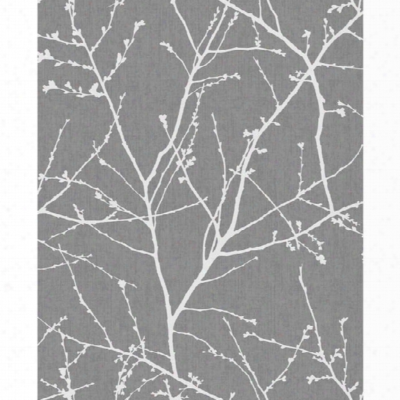 Sample Innocence Wallpaper In Charcoal And Silver From The Innocence Collection By Graham & Brown