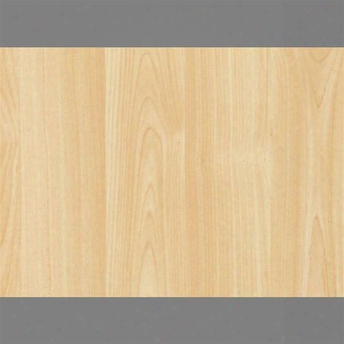 Sample Maple Self-adhesive Wood Grain Contact Wallpaper By Burke Decor