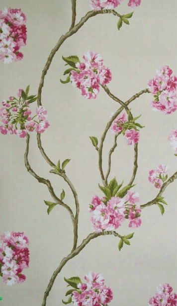 Sample Orchard Blossom Wallpaper 01 By Nina Campbell For Osborne & Little