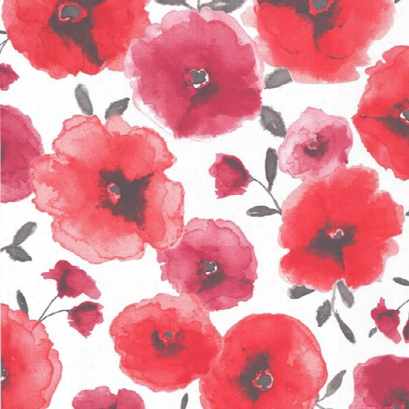 Sample Poppies Wallpaper In Red Design By Graham & Brown