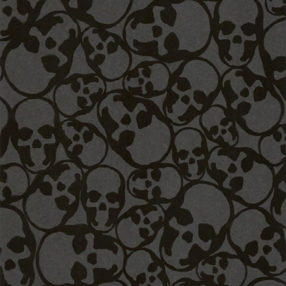 Sample Skulls Flocked Wallpaper In Black By Barbara Hulanicki For Graham & Brown