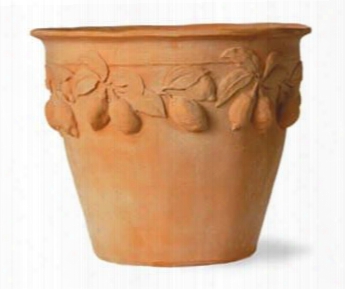 Citrus Planter In Terracotta Finish Design By Capital Garden Products