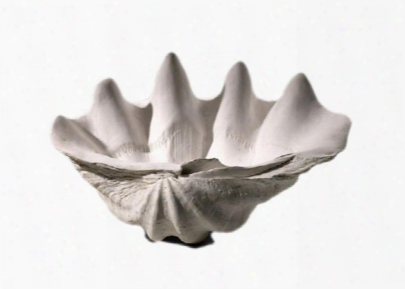 Clam Shell Bowl Design By Cyan Design