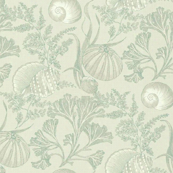 Coral Shells Wallpaper In Aqua And Beige Design By York Wallcoverings