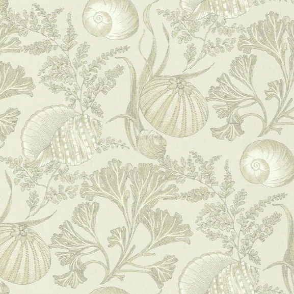 Coral Shells Wallpaper In Beige Design By York Wallcoverings