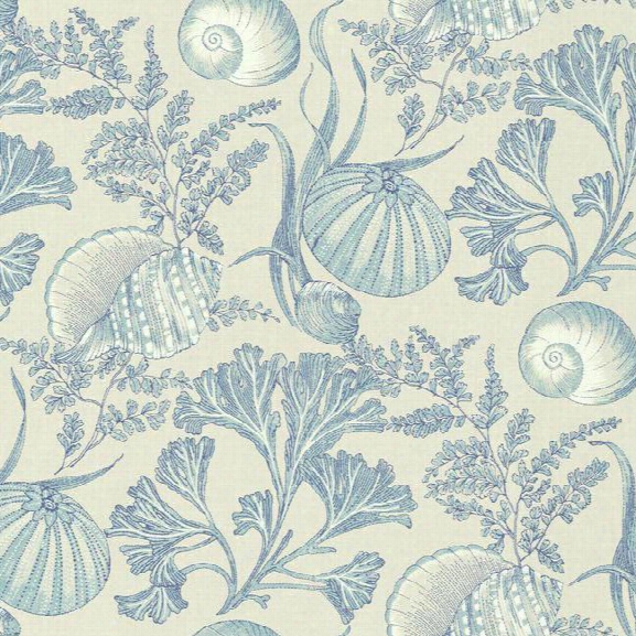 Coral Shells Wallpaper In Blue Design By York Wallcoverings