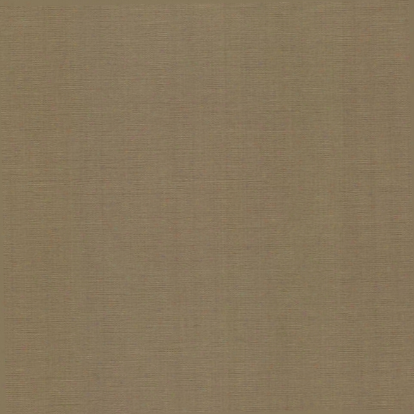 Cotton Brown Texture Wallpaper From The Beyond Basics Collection By Brewster Home Fashions