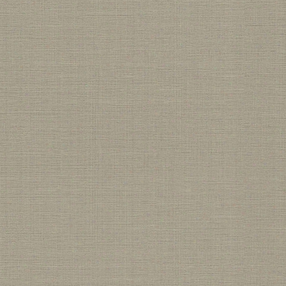 Cotton Olive Texture Wallpaper From The Beyond Basics Collection By Brewster Home Fashions