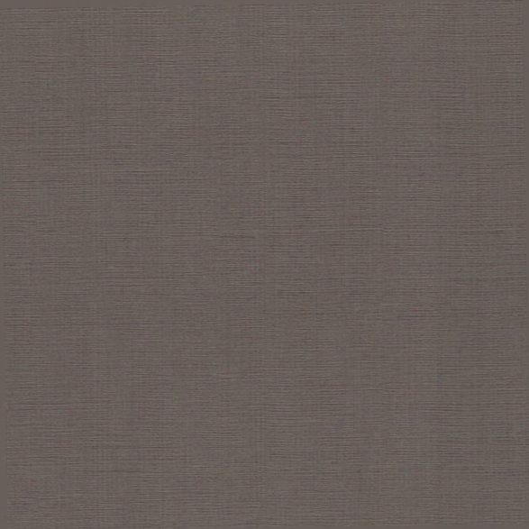 Cotton Taupe Texture Wallpaper From The Beyond Basics Collection By Brewster Home Fashions