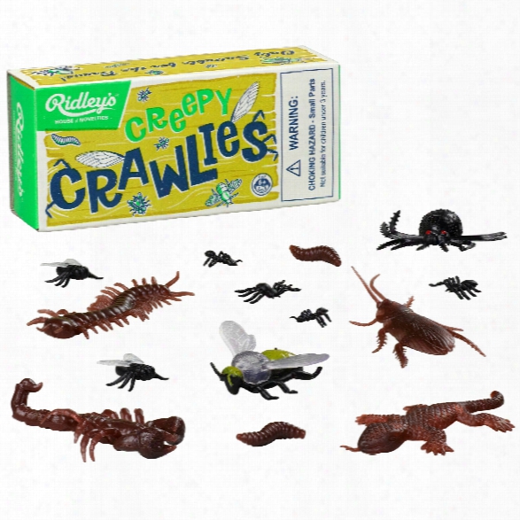 Creepy Crawlies Design By Wild & Wolf