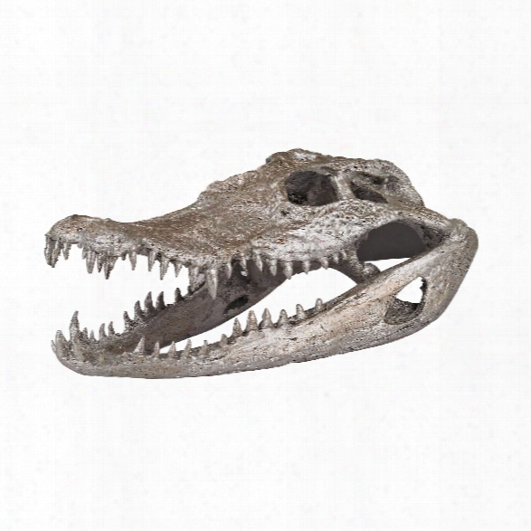 Crocodile Skull In Silver Leaf Design By Lazy Susan