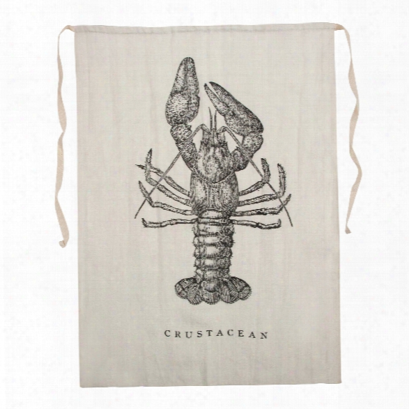 Crustacean Bib Design By Sir/madam