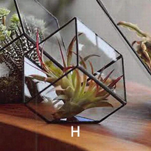 Cubist Terrariums Design By Roost