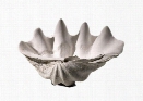 Clam Shell Bowl design by Cyan Design