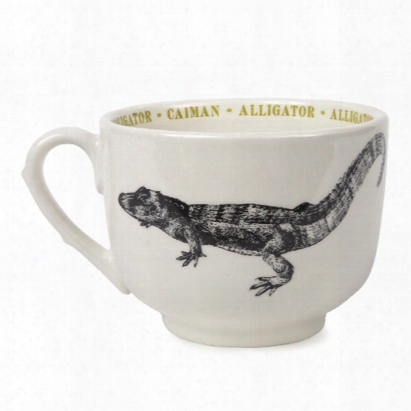 Alligator Fauna Grand Cup Design By Sir/madam