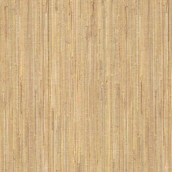 Daria Beige Grasscloth Wallpaper From The Jade Collection By Brewster Home Fashions