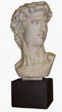 David Bust In Plaster Design By House Parts