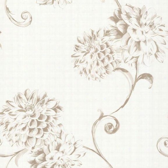 Deliah Pearl Watercolor Dahlia Wallpaper Design By Brewster Home Fashions