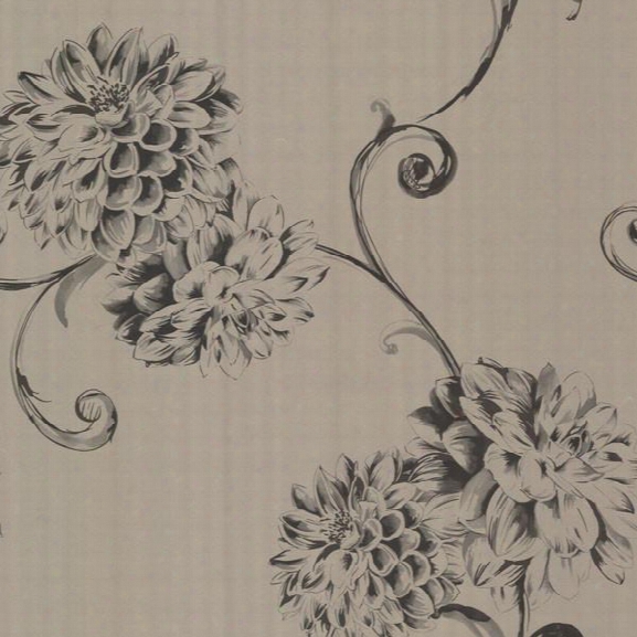 Deliah Sepia Watercolor Dahlia Wallpaper Design By Brewster Home Fashions