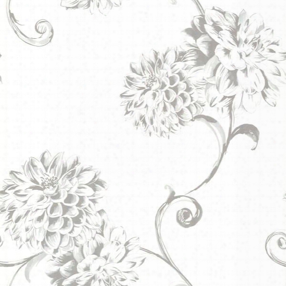 Deliah White Watercolor Dahlia Wallpaper Design By Brewster Home Fashions