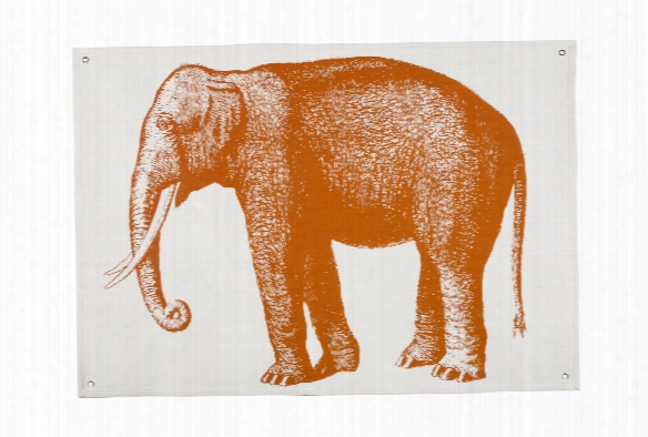 Elephant Canvas Wall Panel Design By Thomas Paul