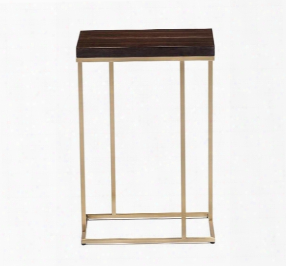 Elijah Rectangular Drink Table In Eucalyptus & Brass Design By Interlude Home