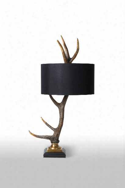 Elk Antler Lamp In Natural Design By Barbara Cosgrove