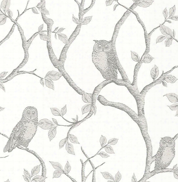 Enchanted Forest Grey Owl & Tree Wallpaper From The Essentials Collection By Brewster Home Fashions