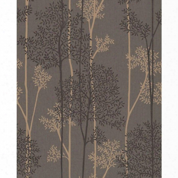 Eternal Wallp Aper In Chocolate And Bronze From The Innocence Collection By Graham & Brown