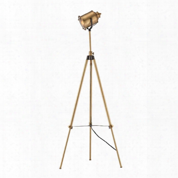 Ethan Floor Lamp In Aged Brass Design By Lazy Susan