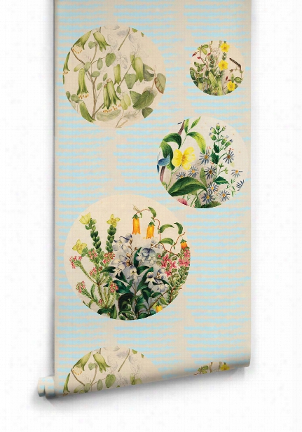 Euphemia 5 Wallpaper From The Lazybones Collection By Milton & King