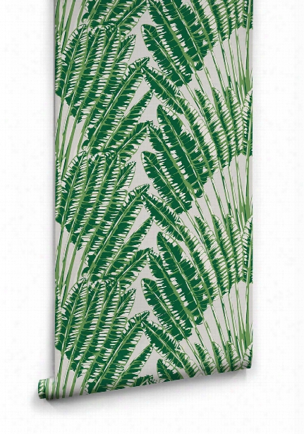 Feather Palm Wallpaper In Aloha From The Kingdom Home Collection By Milton & King