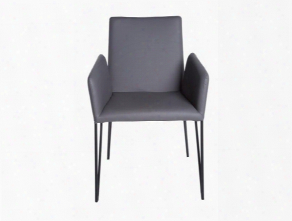 Amir Arm Chair In Dark Grey Design By Euro Style