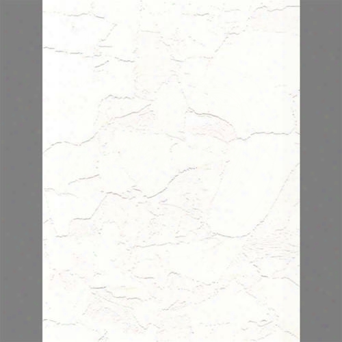 Anaglypta Luxury Textured Vinyl Modern Rustic Plaster Paintable Wallpaper By Burke Decor